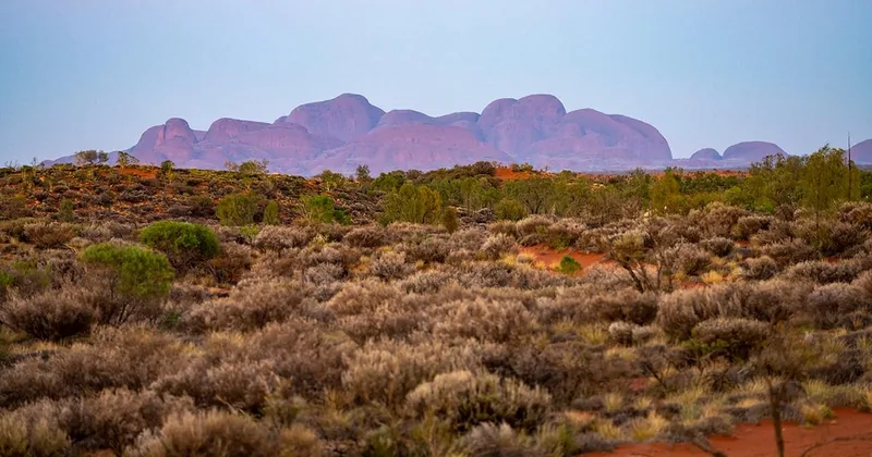 Kata Tjuta: Valley of the Winds Rundwanderung