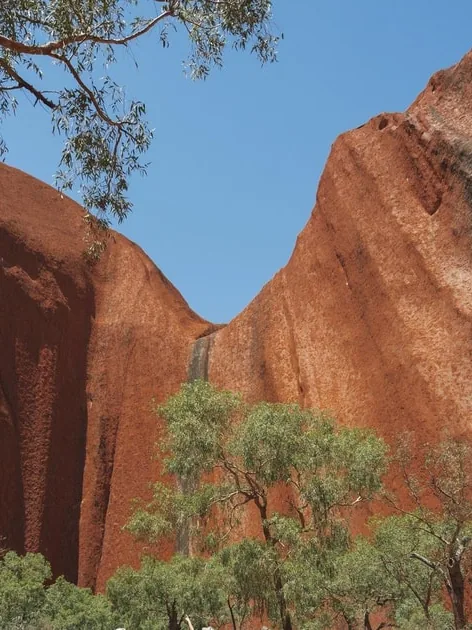 Die hohen roten Wände der Kantju-Schlucht am Uluru, die sich über grünen Bäumen zu einem V treffen