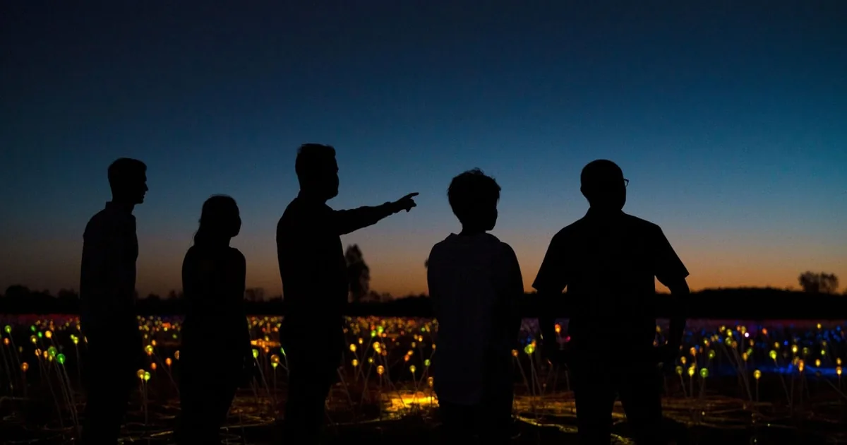Siluetas de visitantes en una duna al anochecer sobre los tallos iluminados del Field of Light
