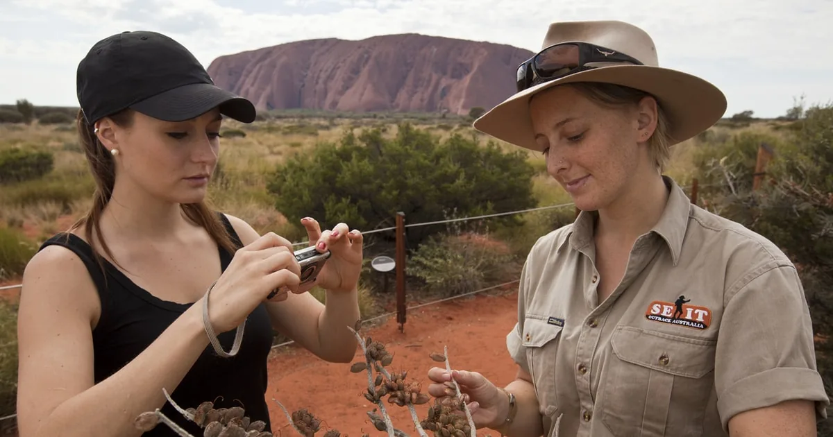 Ein Guide zeigt einem Wanderer mit Kappe eine Wüstenpflanze, hinter ihnen der Uluru