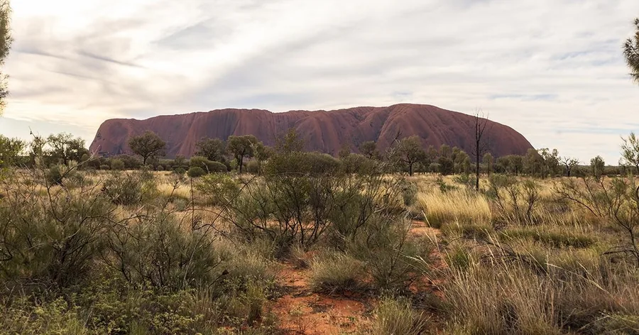 Der Uluru am Horizont über grünem Wüstenbusch unter einem hohen, dunstigen Himmel