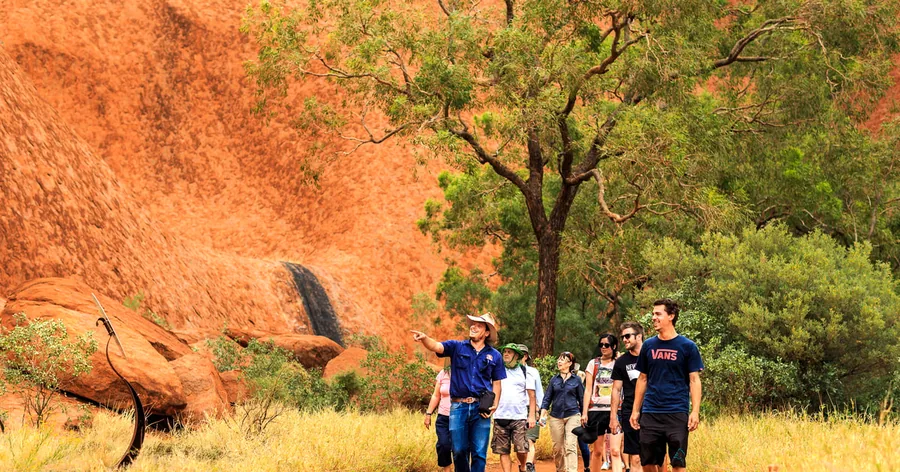 Ein Guide zeigt einer Gruppe, die im Schatten von Bäumen am Fuß des Uluru wandert, etwas Besonderes